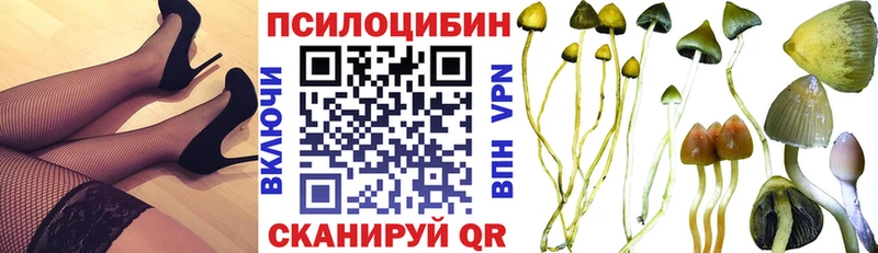 Галлюциногенные грибы прущие грибы  Купить закладки  Бронницы 